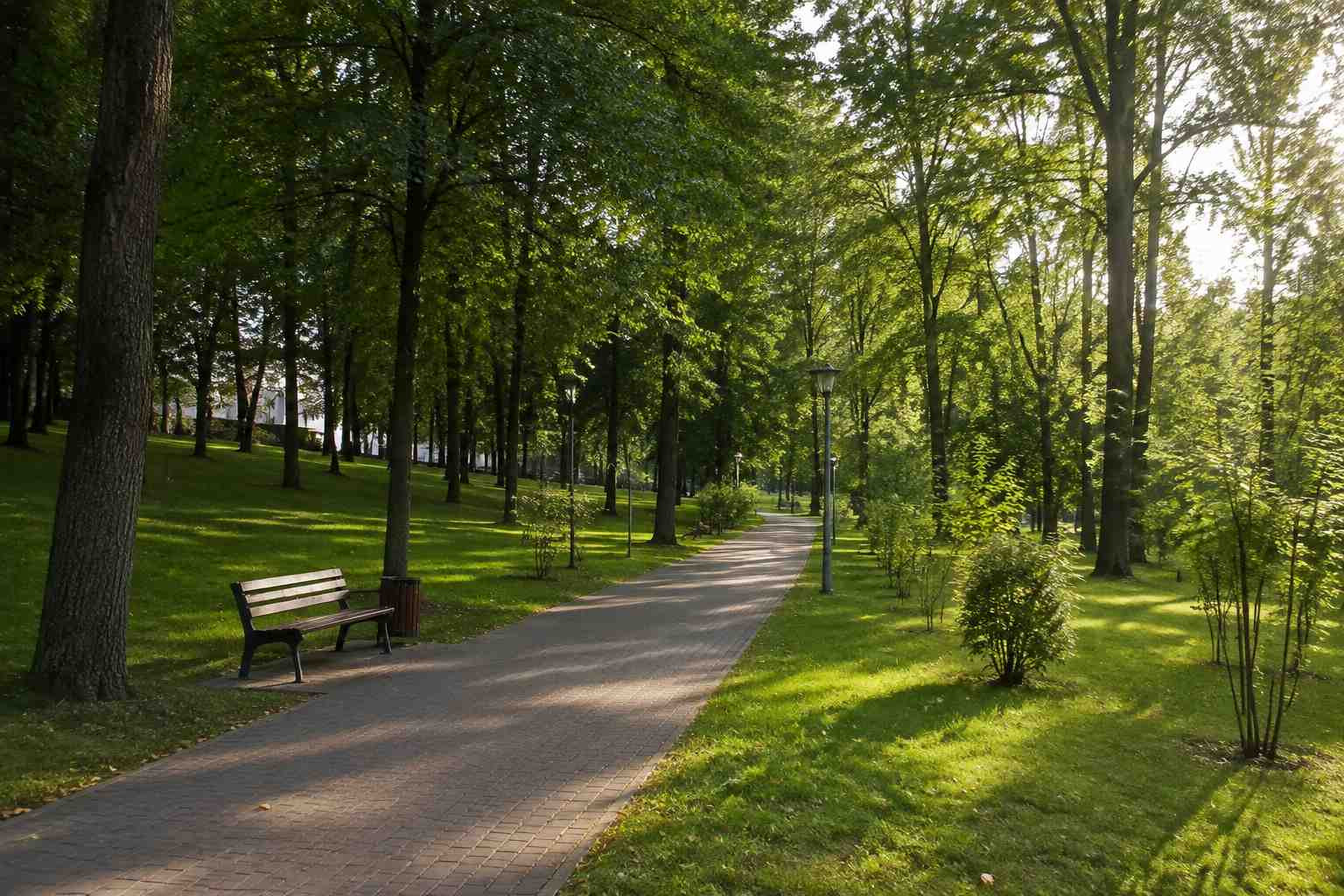 https://barnaul.blago-s.ru/storage/app/uploads/public/6a7/eef/ed2/6a7eefed2af22038960370.jpg